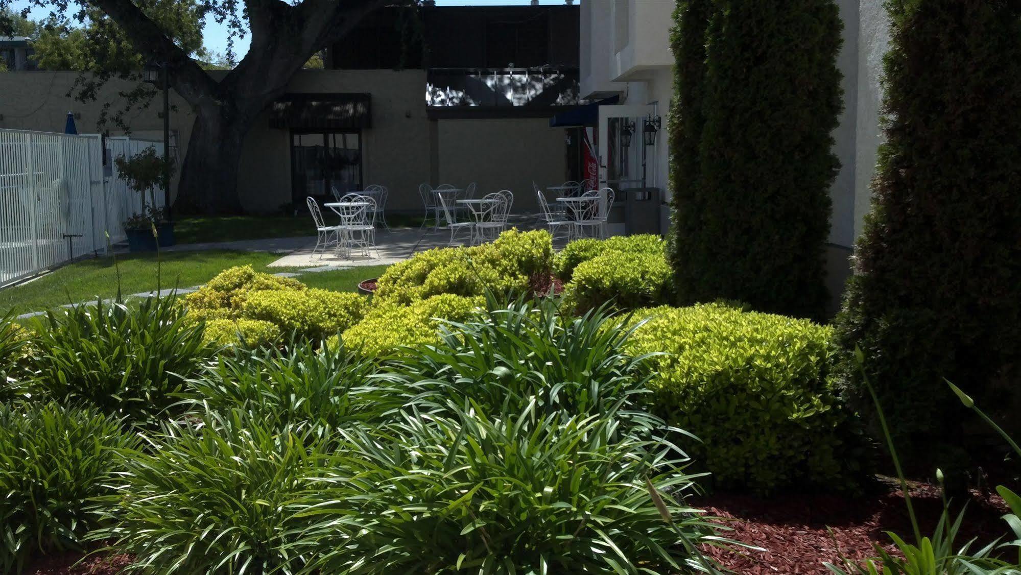 The Hotel Aria - Mountain View Bagian luar foto